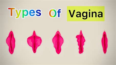 outie vs innie labias|Lopsided Vagina: 9 Different Labia Shapes, Colors, and Sizes